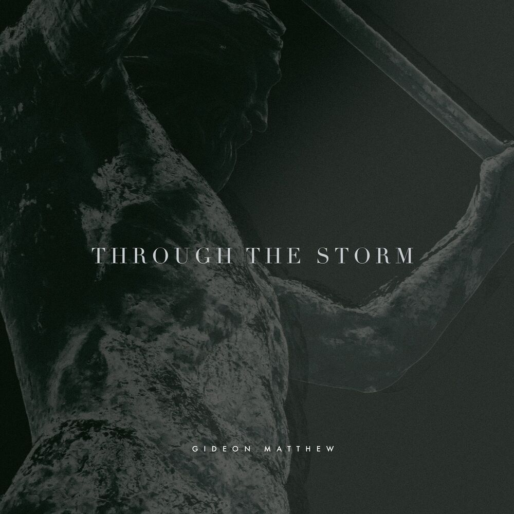 Picture of Through the Storm