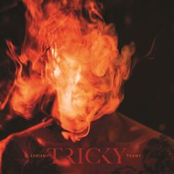 Cover of Adrian Thaws