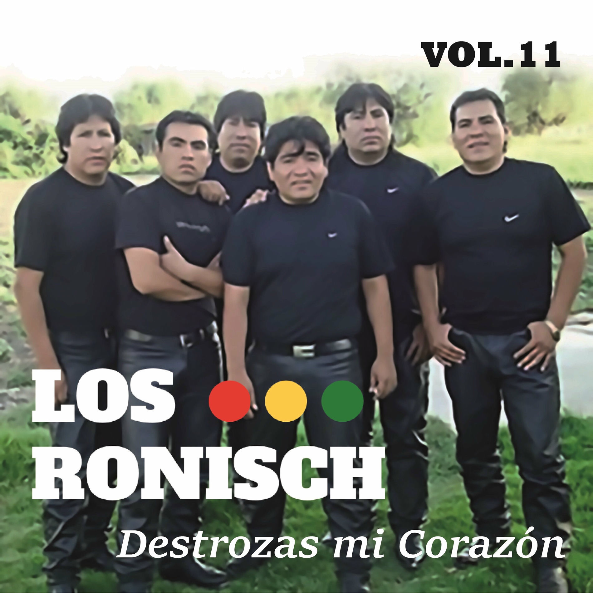 Album cover of Destrozas Mi Corazón Vol.11