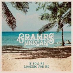 Cover of If You're Looking for Me