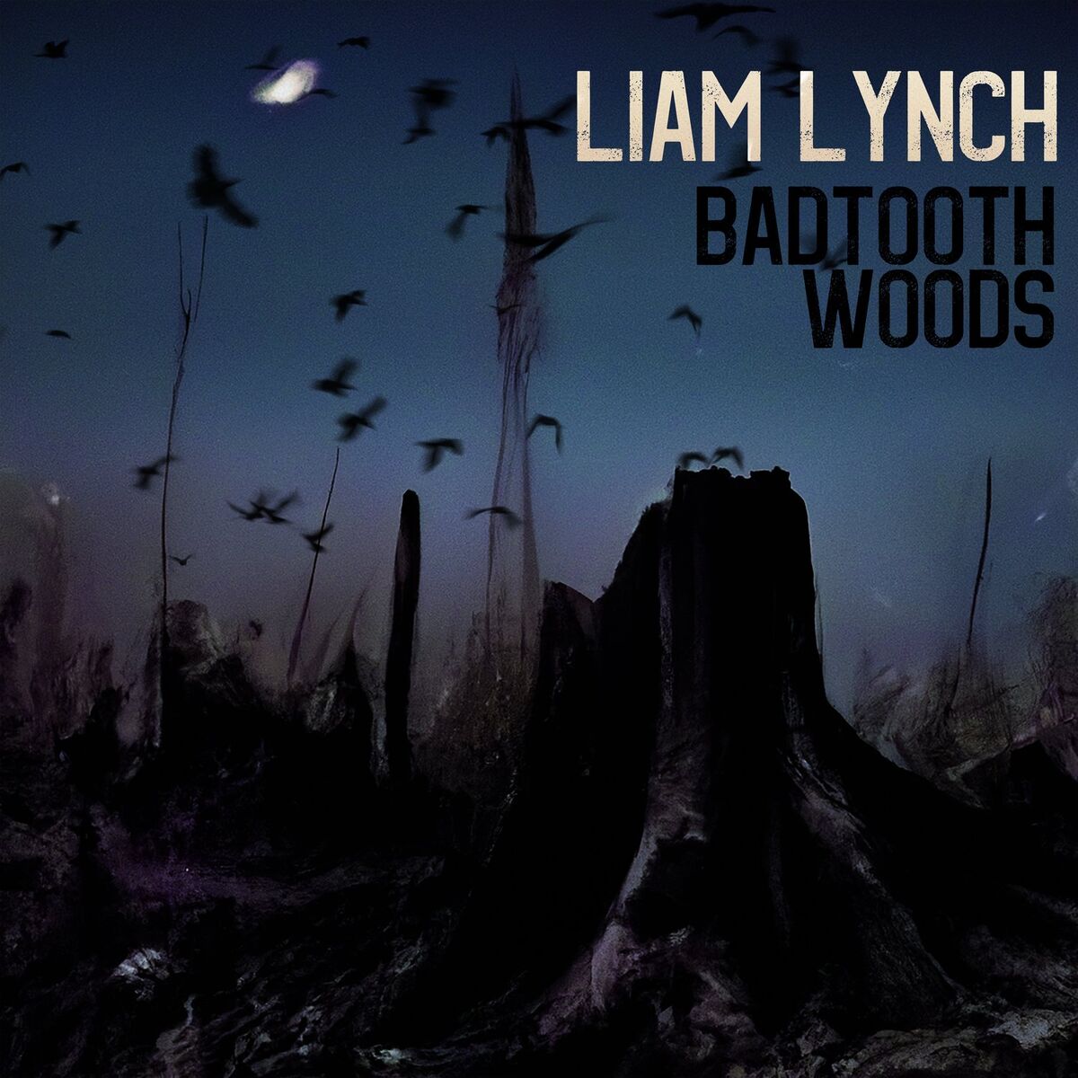 Album cover of Badtooth Woods