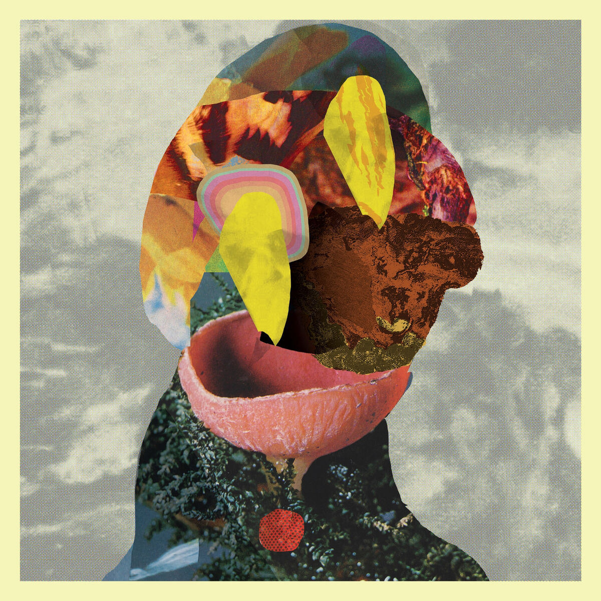 Album cover of Split - EP