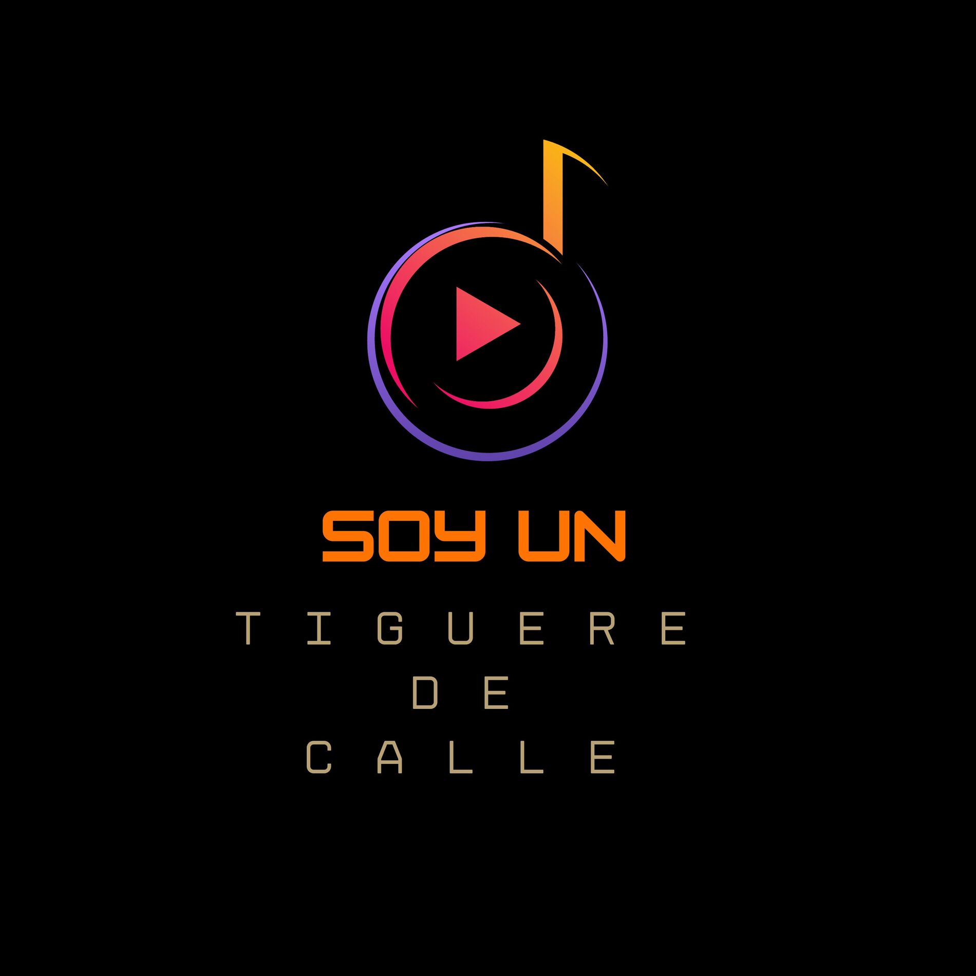 Album cover of Soy un Tiguere de Calle