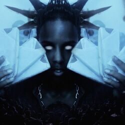 Cover of bonche.2010