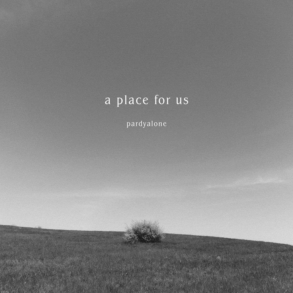 Album cover of A Place For Us