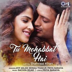 Cover of Tu Mohabbat Hai (Lofi Mix)