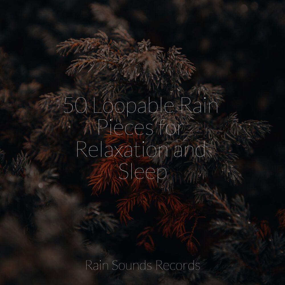 Picture of 50 Loopable Rain Pieces for Relaxation and Sleep