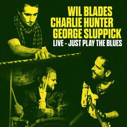 Cover of Just Play the Blues