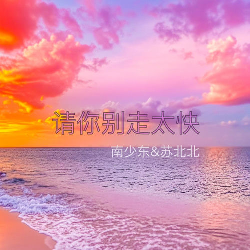 请你别走太快