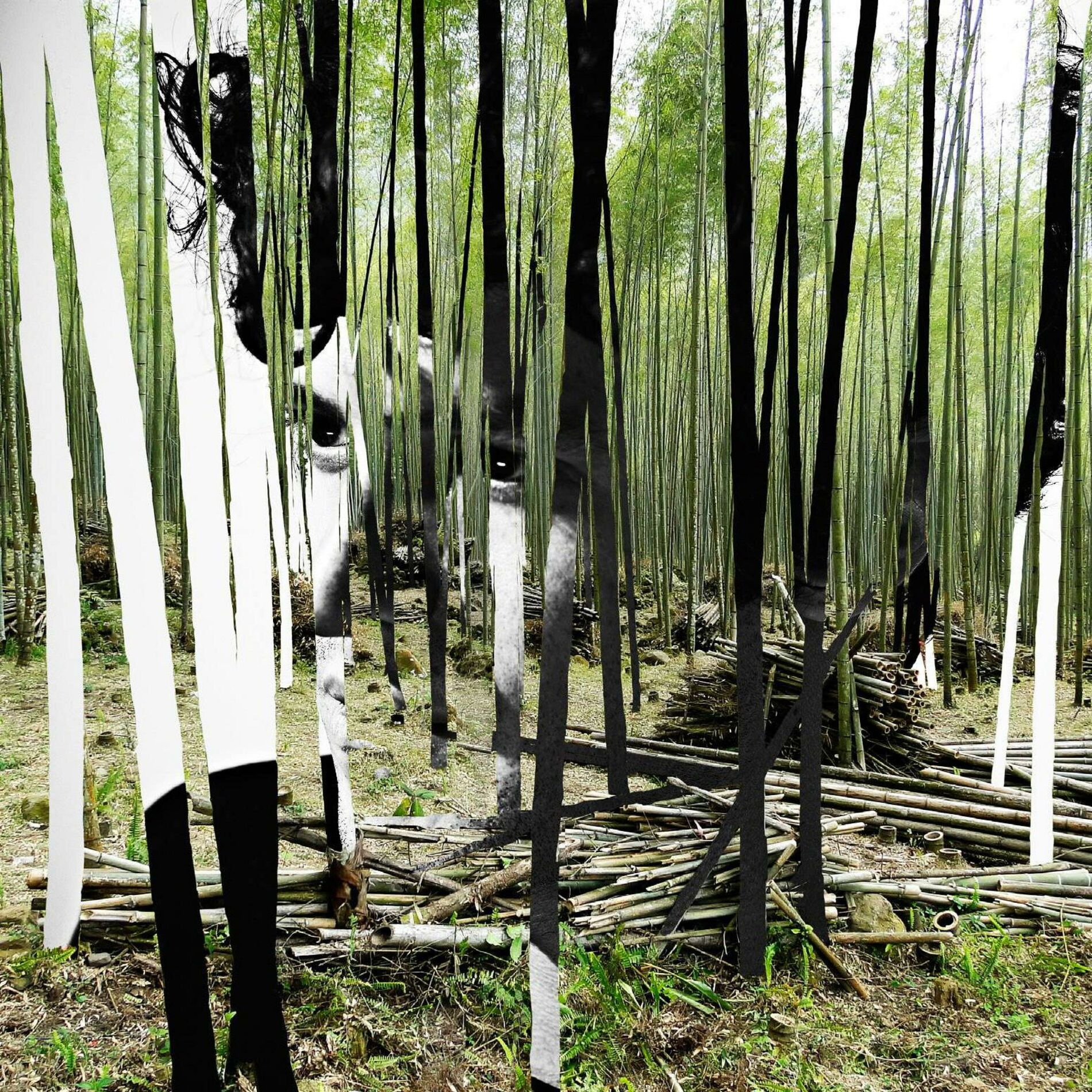 Album cover of The Green Tiger's Alibi