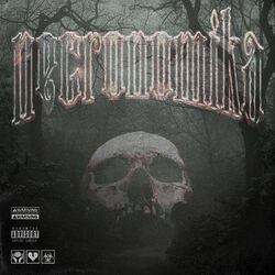 music cover