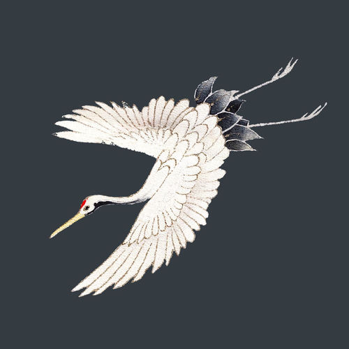霧の森 - TSUBAKI