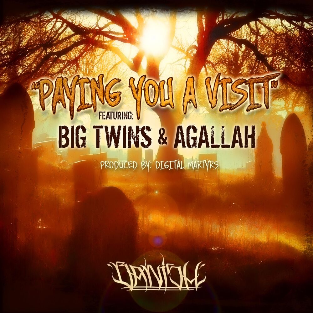 Picture of Paying You a Visit (feat. Big Twins & Agallah)