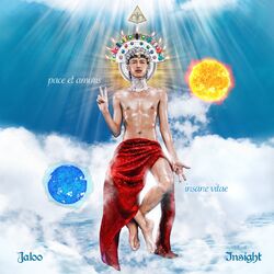Cover of Insight