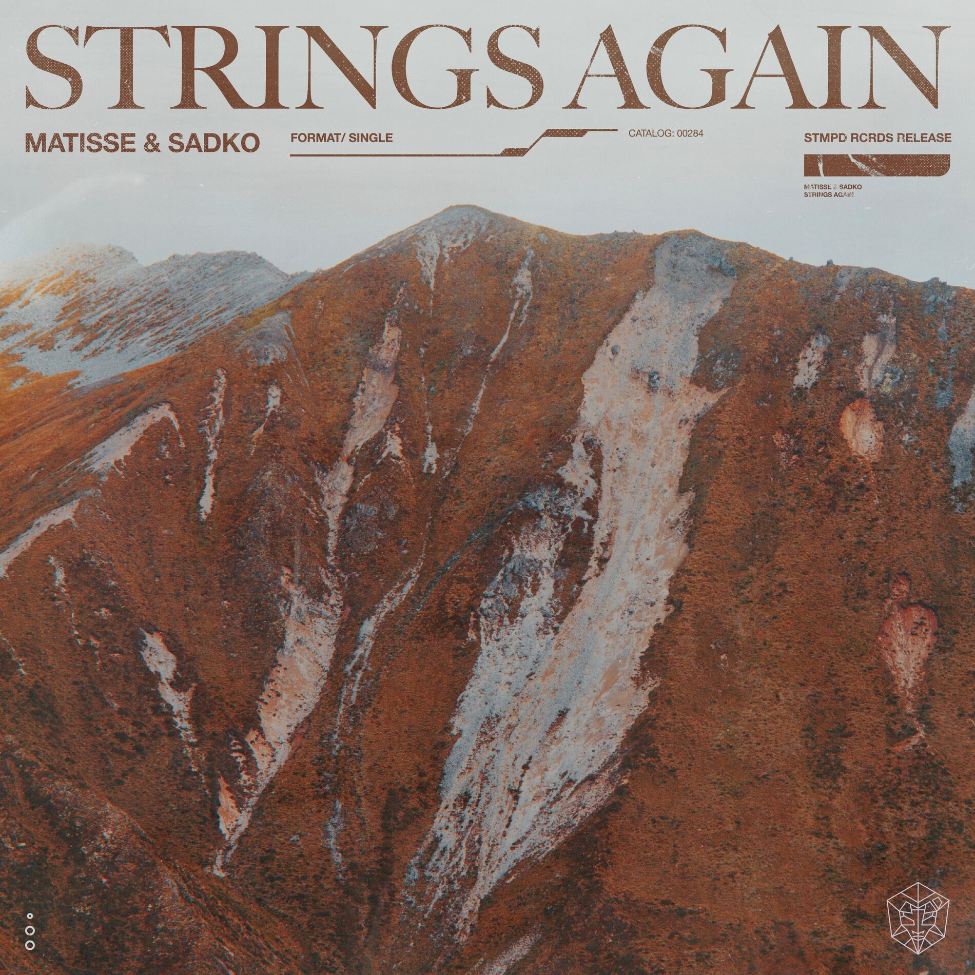Album cover of Strings Again