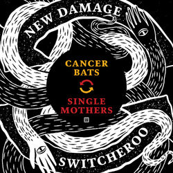 Cover of New Damage Switcheroo, Vol. 1