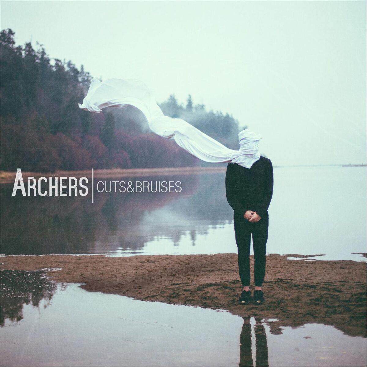 Album cover of Cuts & Bruises