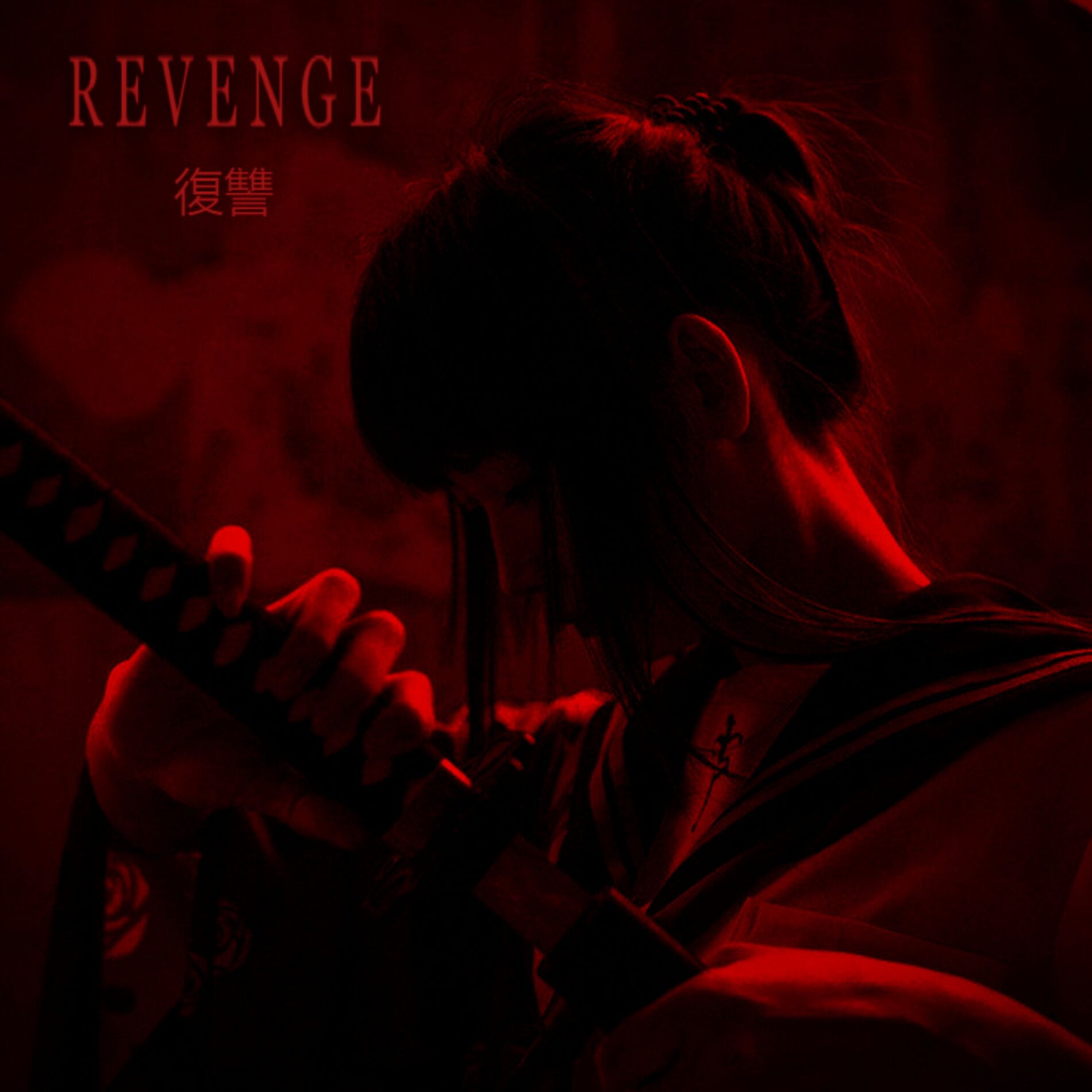 Album cover of Revenge