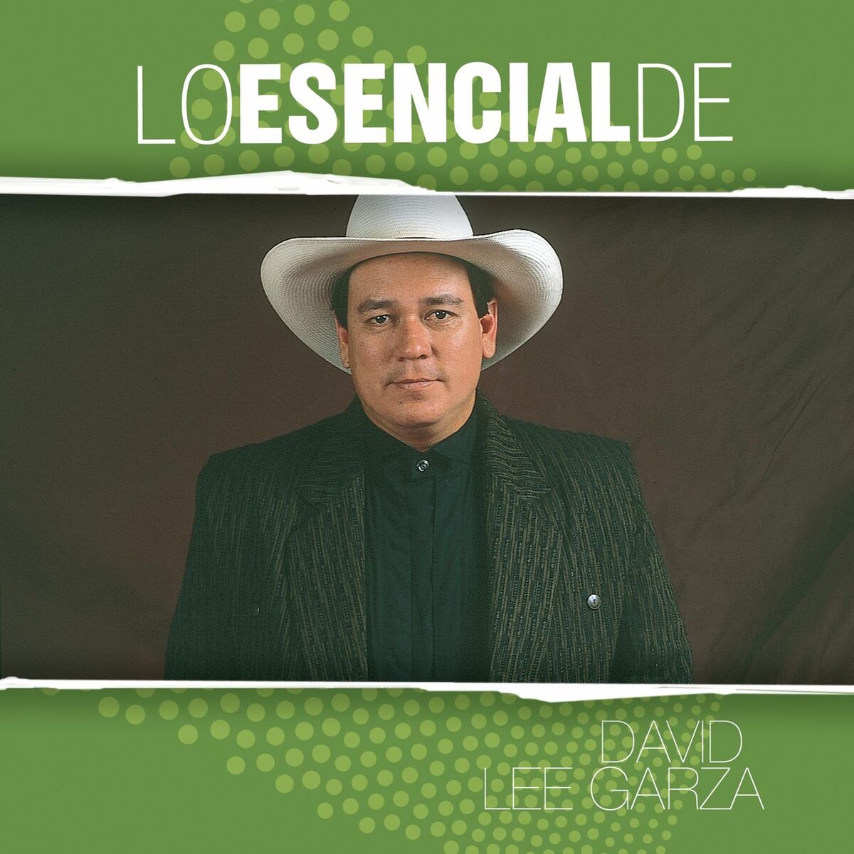 Album cover of Paloma Sin Nido