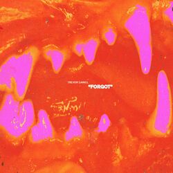 Cover of Forgot
