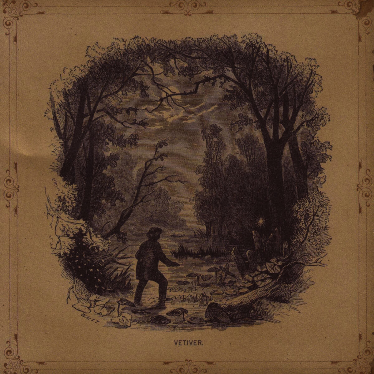 Album cover of Amour Fou