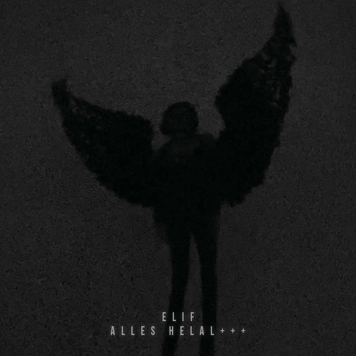 Album cover of ALLES HELAL+++