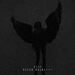 Cover of ALLES HELAL+++