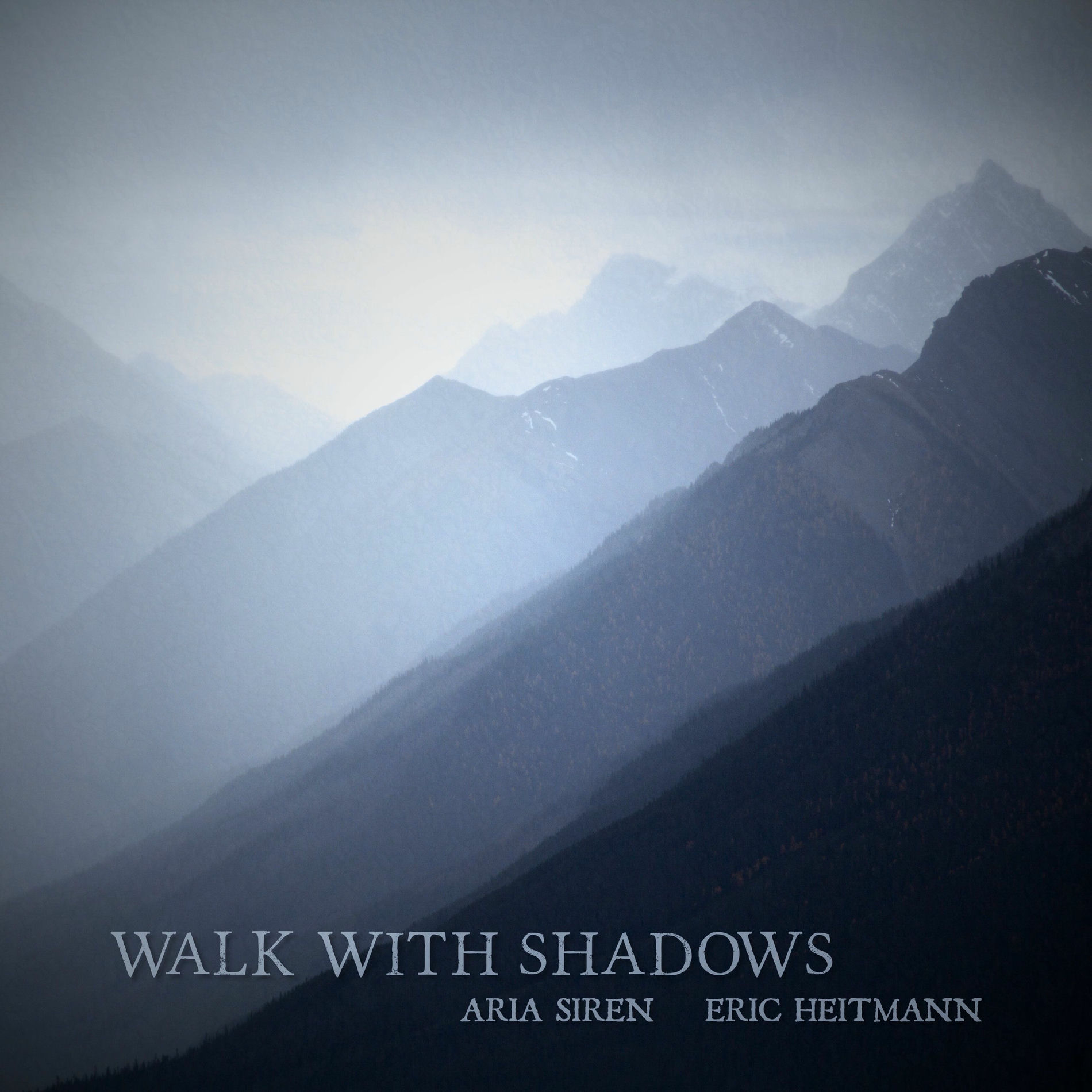 Album cover of Walk With Shadows
