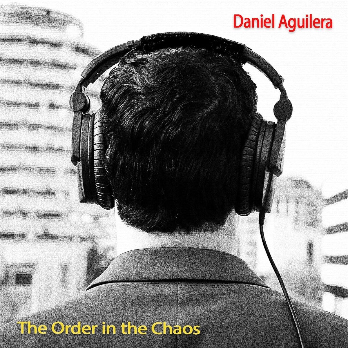 Album cover of The Order in the Chaos