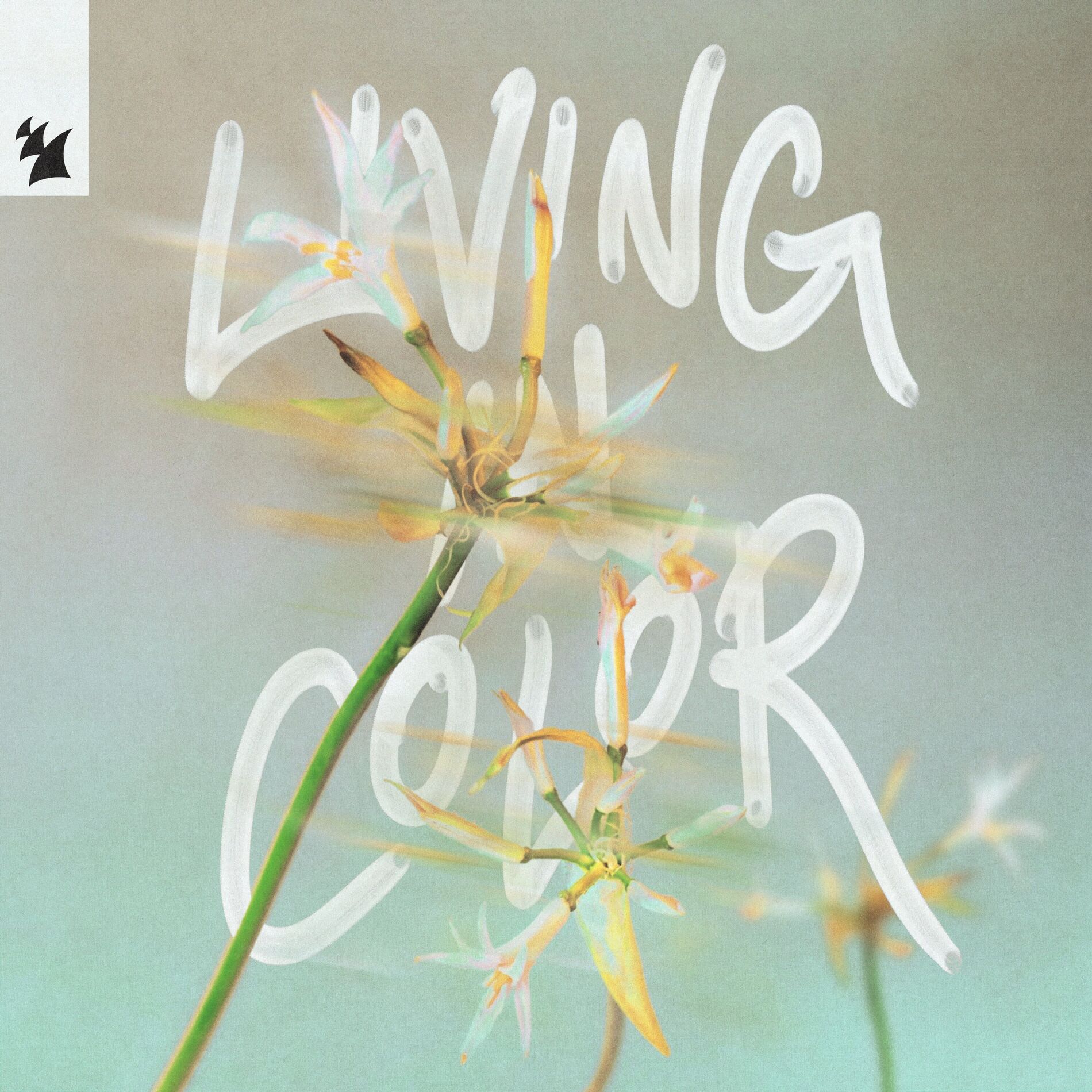 Album cover of Living in Color