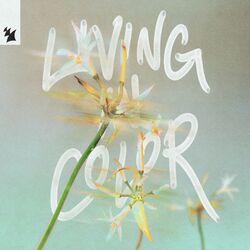 Cover of Living in Color