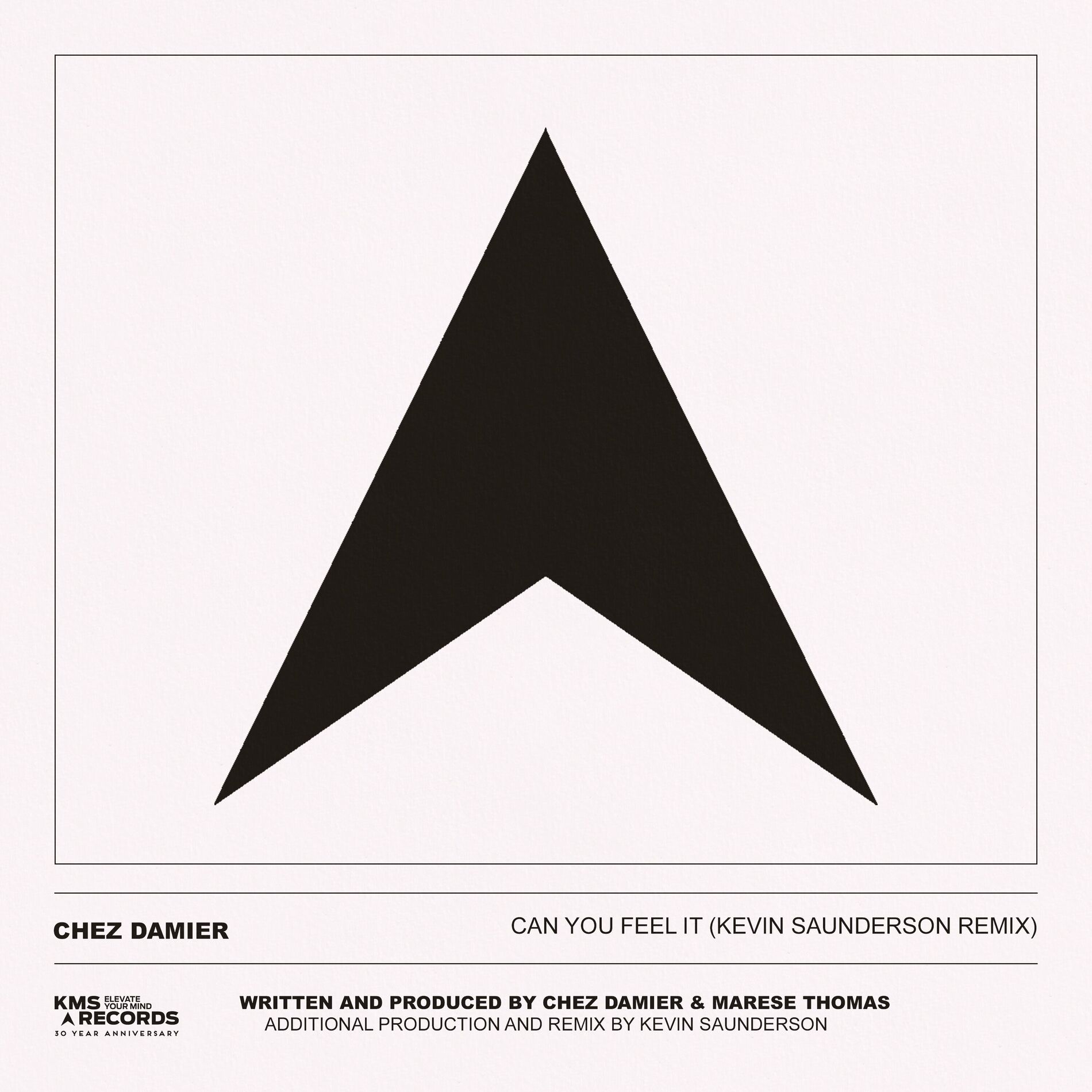 Album cover of Can You Feel It (Kevin Saunderson Remix)