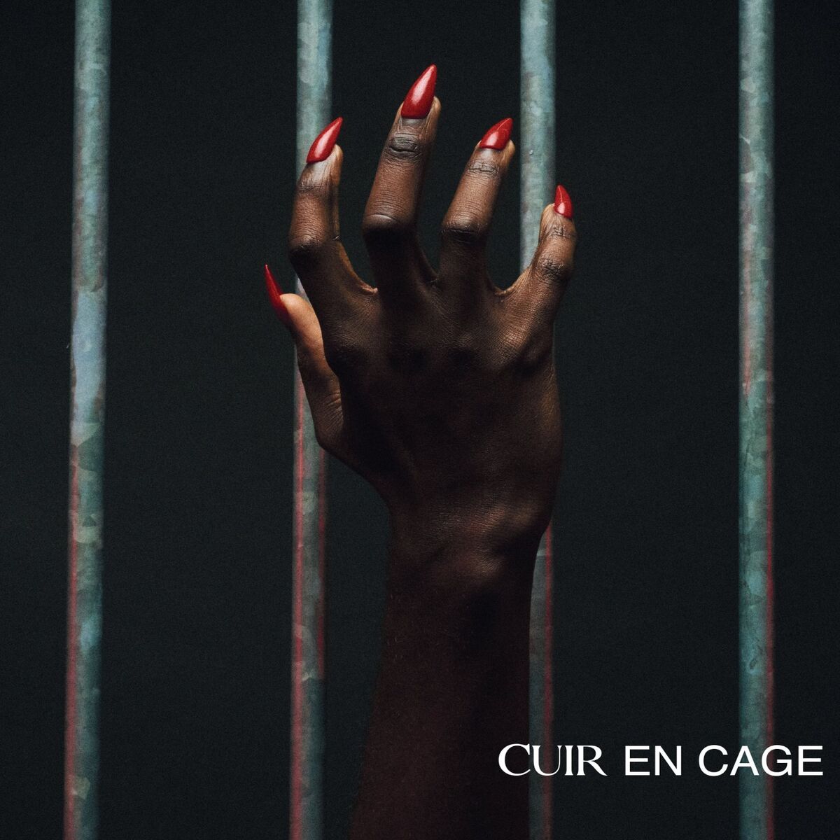 Album cover of Cuir en cage