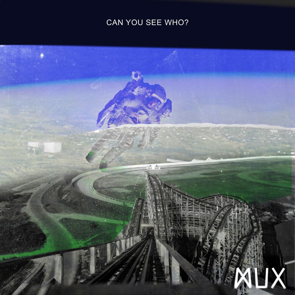 Picture of Can You See Who?