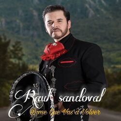 Cover of DIME QUE VAS A VOLVER