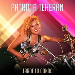 Cover of Tarde lo conocí
