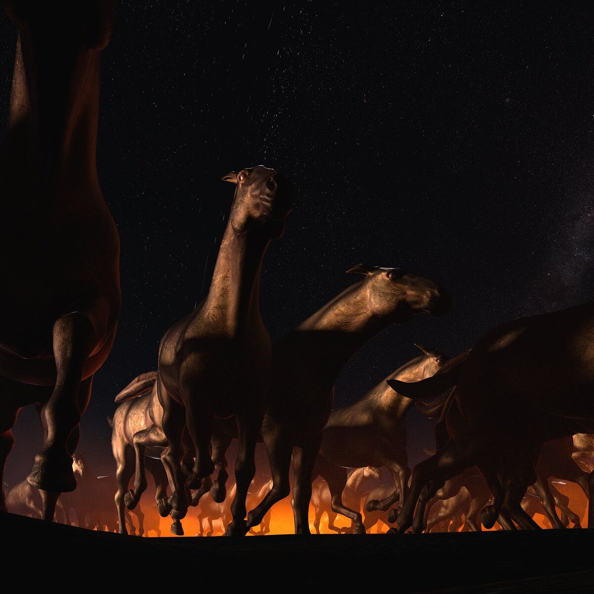 Album cover of Çanakkale