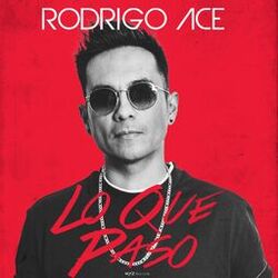 Cover of Lo que paso