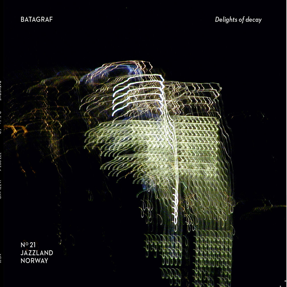 Picture of Delights of Decay