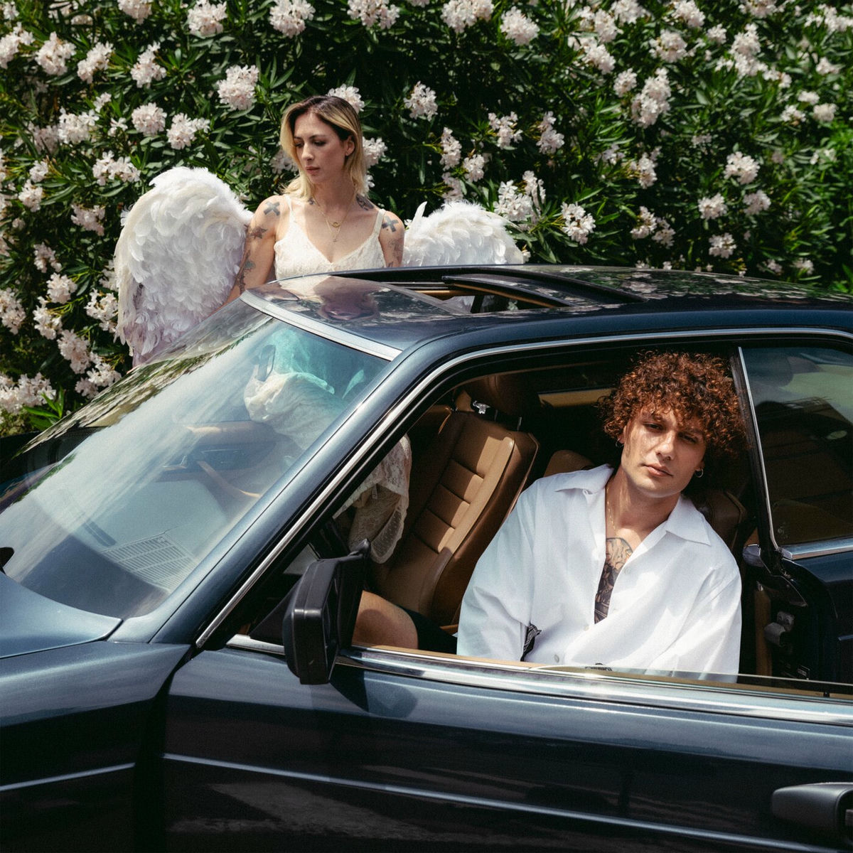 Album cover of Cupido Senza Ali