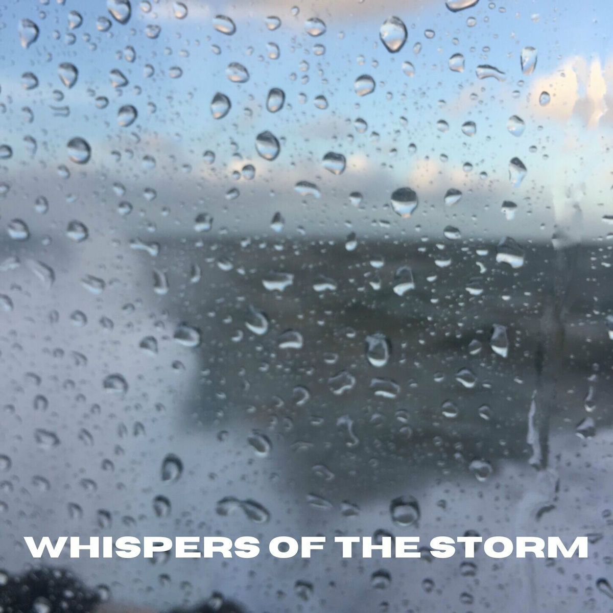 Album cover of Whispers of the Storm