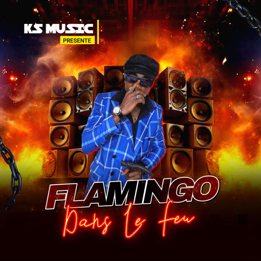 Album artwork for Dans Le Feu by Flamingo