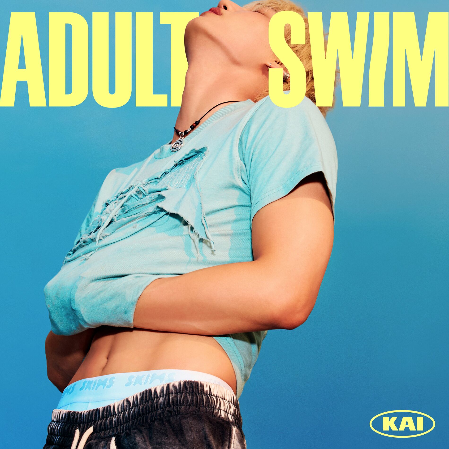 Album cover of Adult Swim