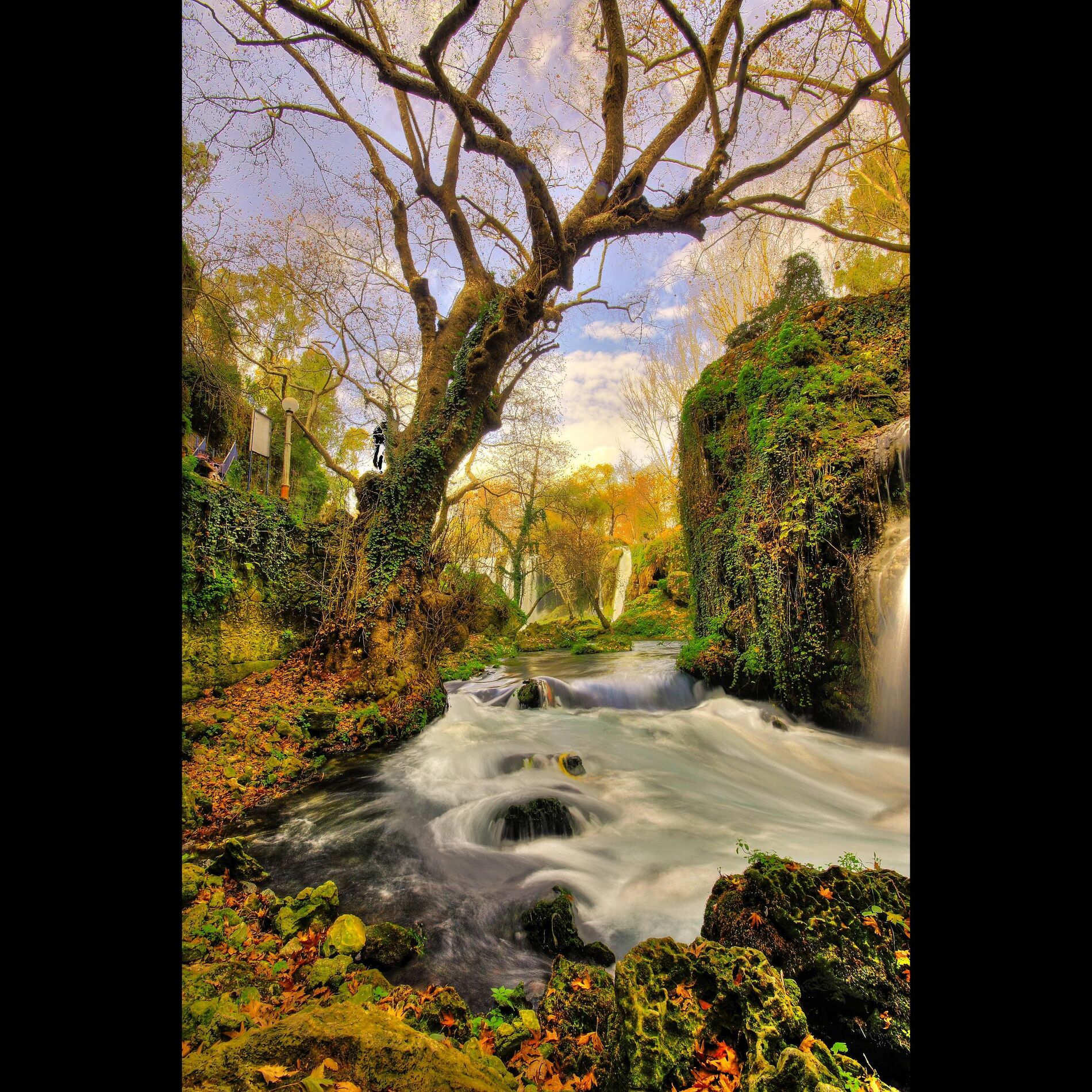 Album cover of IPHUPHO LAMI