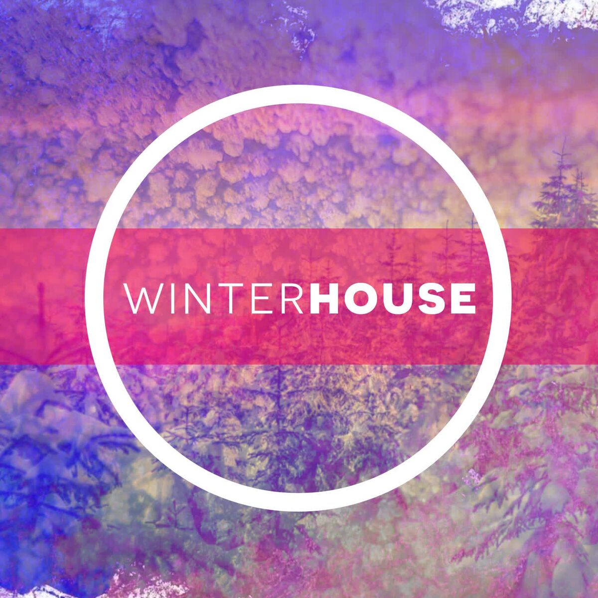 Album cover of Winter House