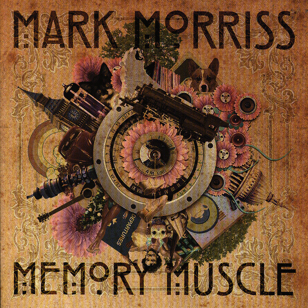 Picture of Memory Muscle