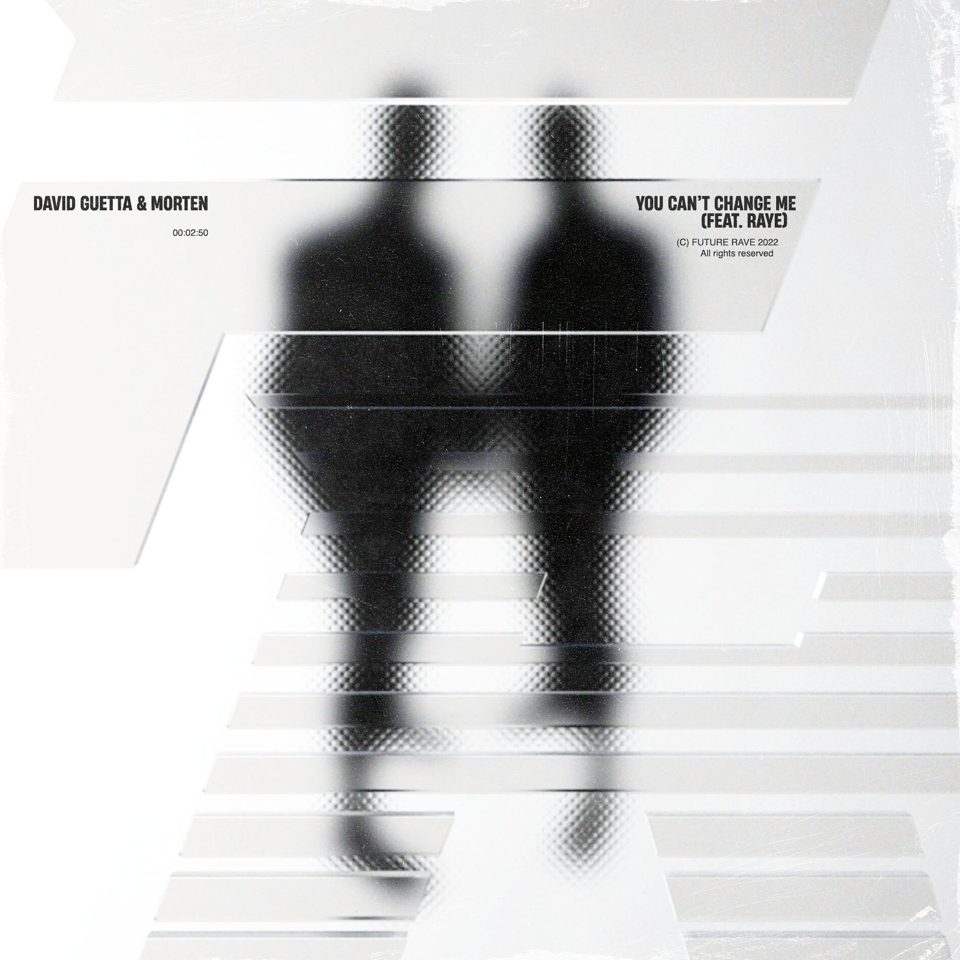 Album cover of You Can’t Change Me (feat. Raye)