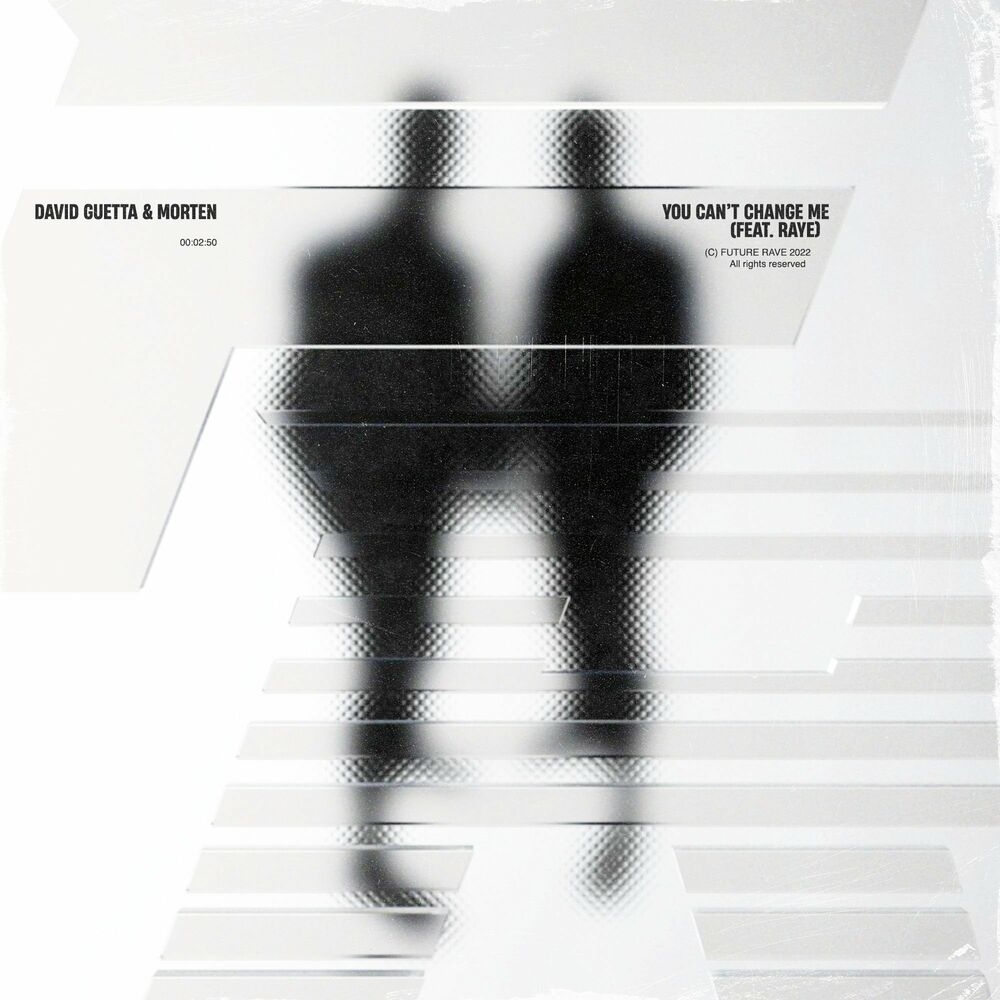 Picture of You Can’t Change Me (feat. Raye)