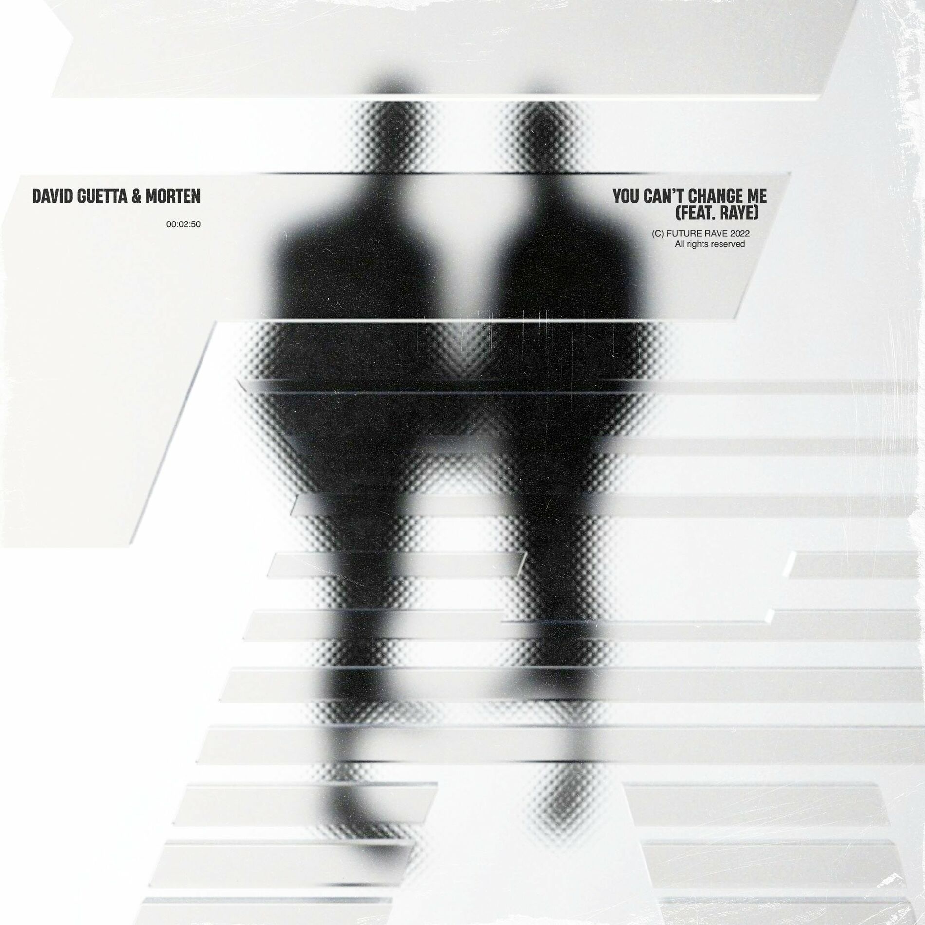 Album cover of You Can’t Change Me (feat. Raye)