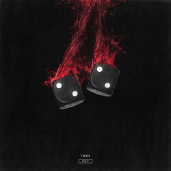 Cover of Twos